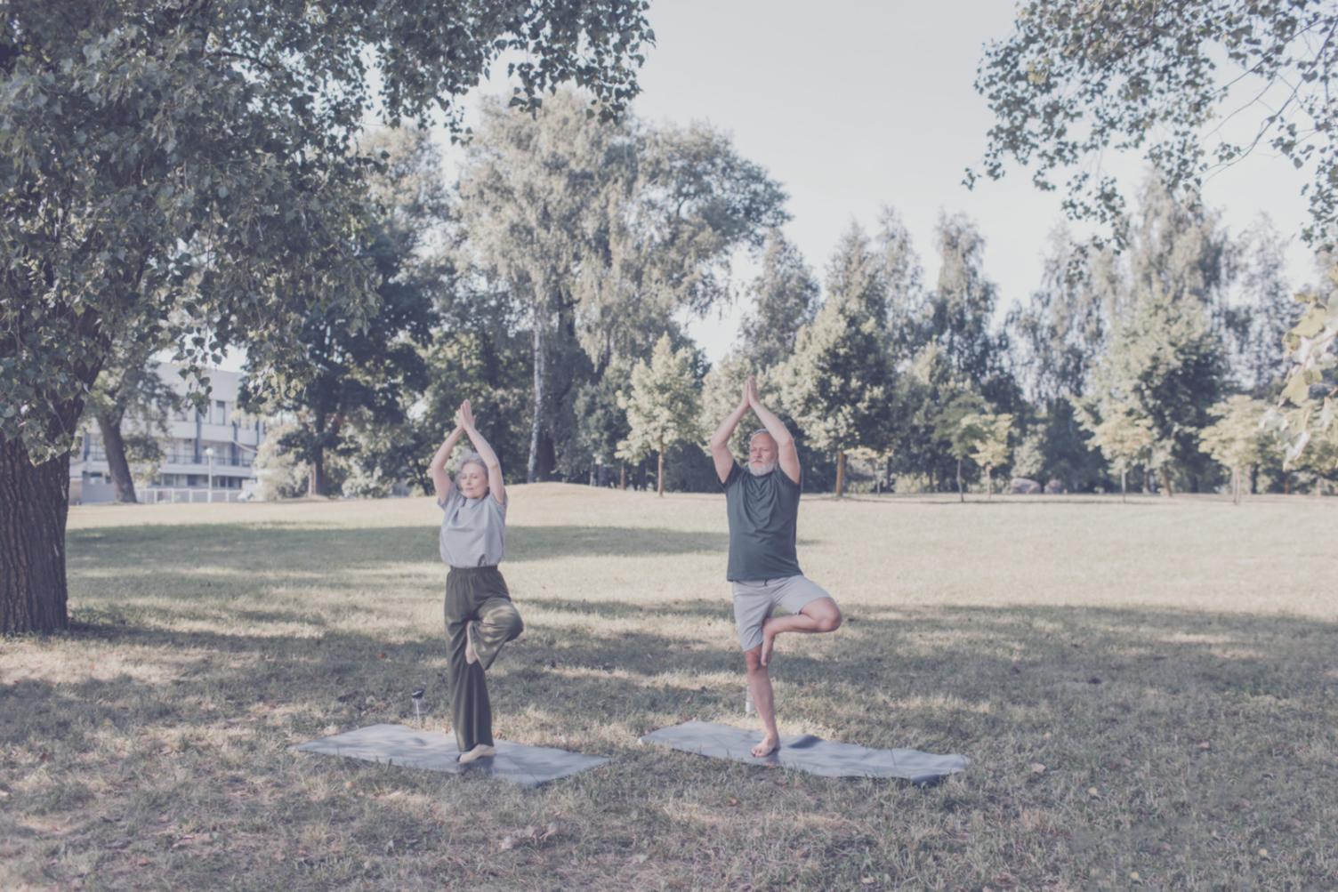 Пара виконує складну балансову асану з взаємною підтримкою